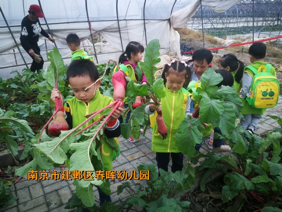 附件：IMG_20181016_102221.jpg