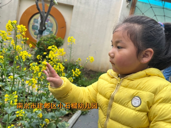 附件：QQ图片20240407100201.jpg