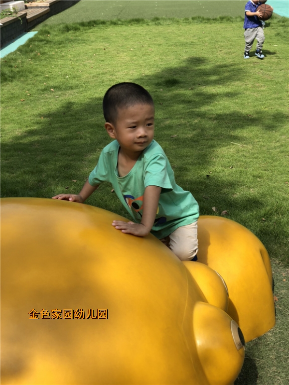 附件：IMG_5924.jpg