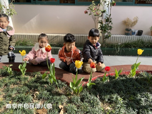 附件：1.png