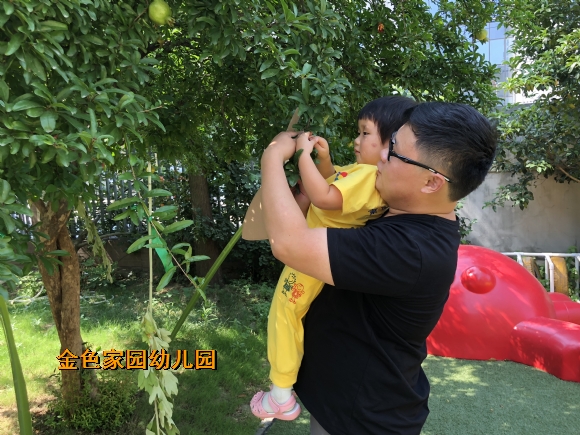 附件：IMG_7077.JPG