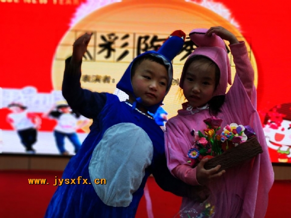 附件：IMG_3995.JPG
