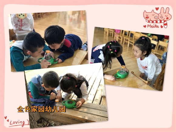 附件：IMG_2898_鍓湰.jpg