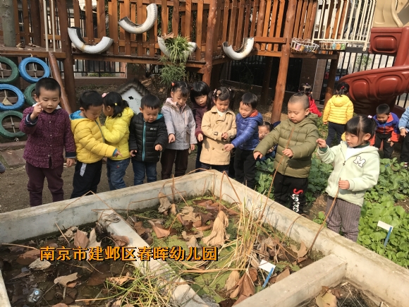 附件：新建文件夹IMG_2603.JPG