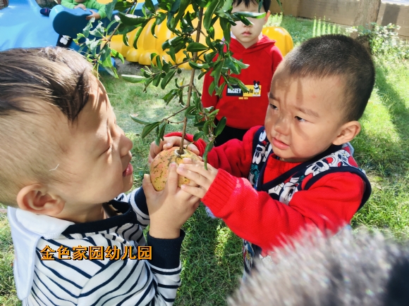 附件：IMG_E8836.JPG