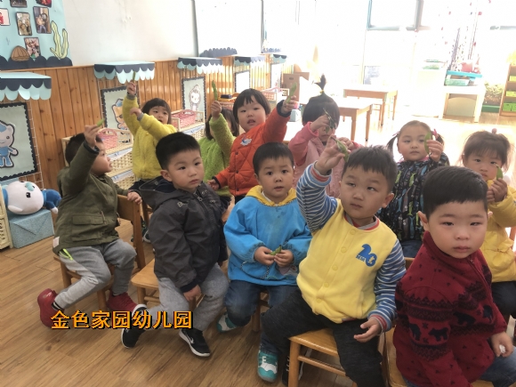 附件：IMG_9429.JPG