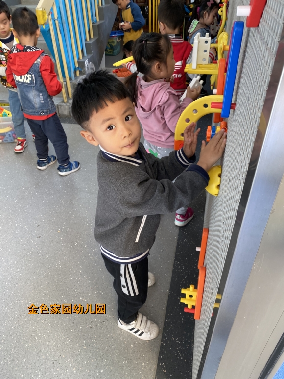附件：IMG_4965.JPG