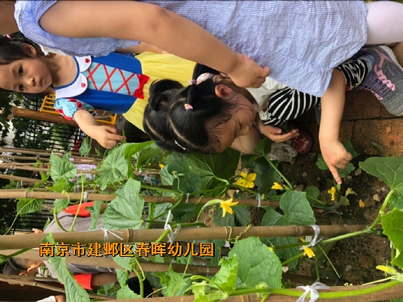 附件：QQ鍥剧墖20180518161249.jpg