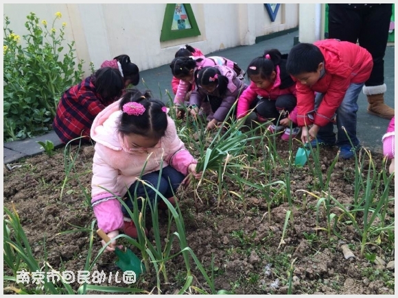 建邺教育信息网