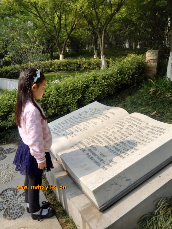 附件：IMG.jpg