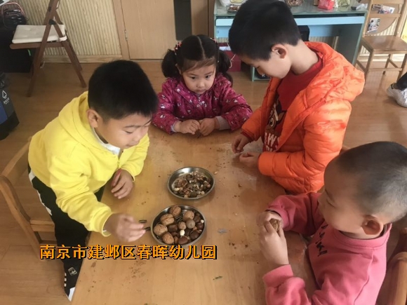 附件：conew_img_3602.jpg