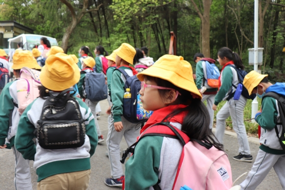 附件：IMG_1747.JPG