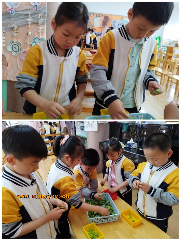 附件：9.jpg