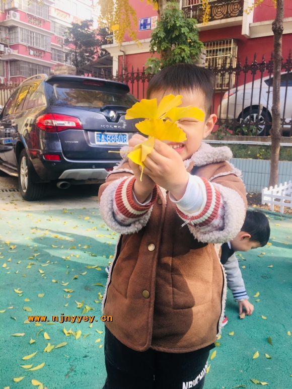 附件：QQ图片20191215160244.jpg