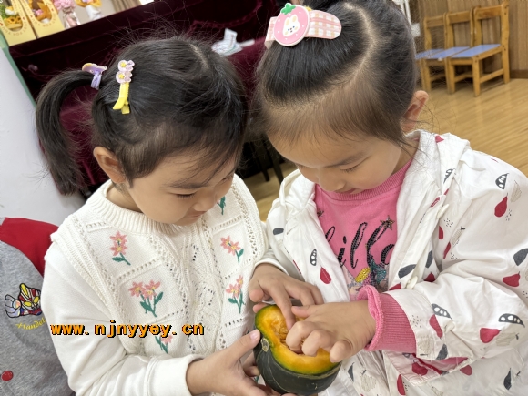 附件：IMG_1116.JPG