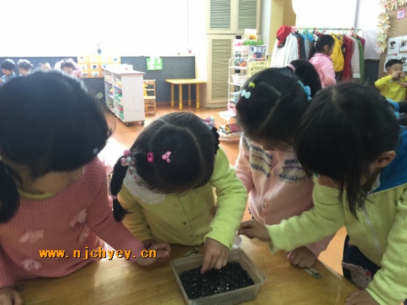 附件：conew_img_1876.jpg