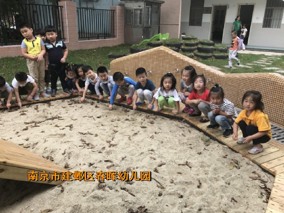 附件：conew_img_8706.jpg