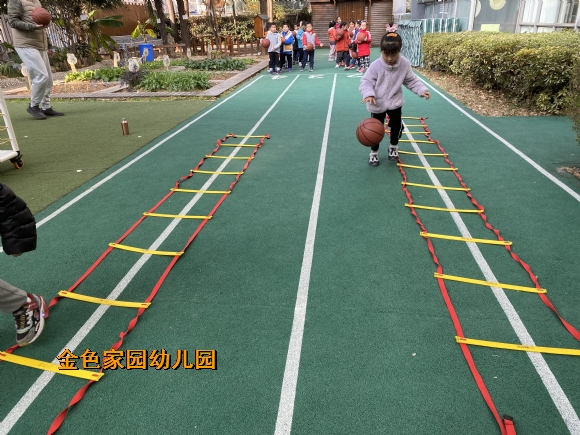 附件：IMG_3255.JPG