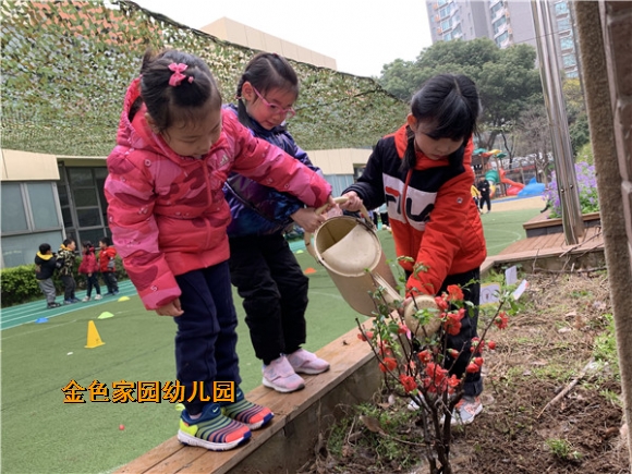 附件：IMG_6085.jpg