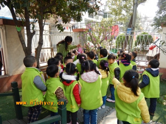 附件：conew_dscn2481.jpg