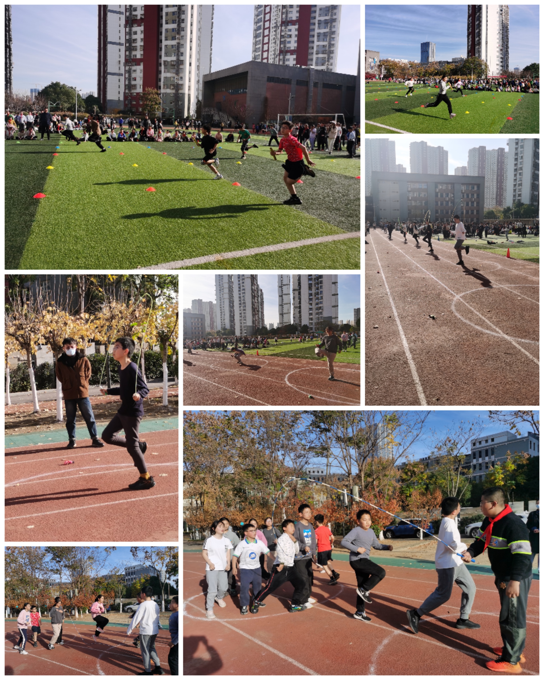 Collage_20231212_081129.jpg