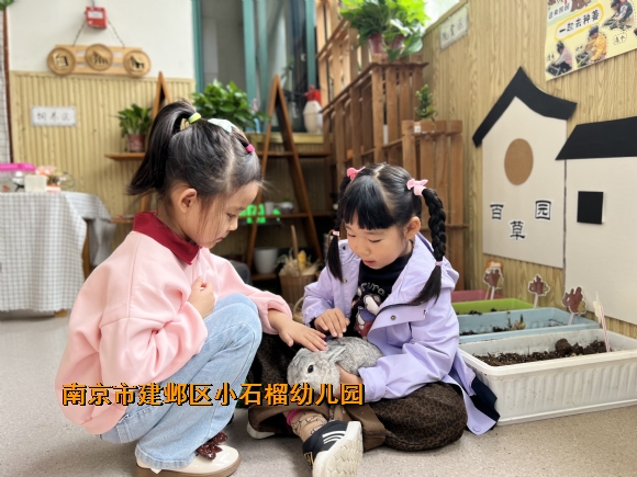 附件：IMG_7250(20241116-145604).JPG