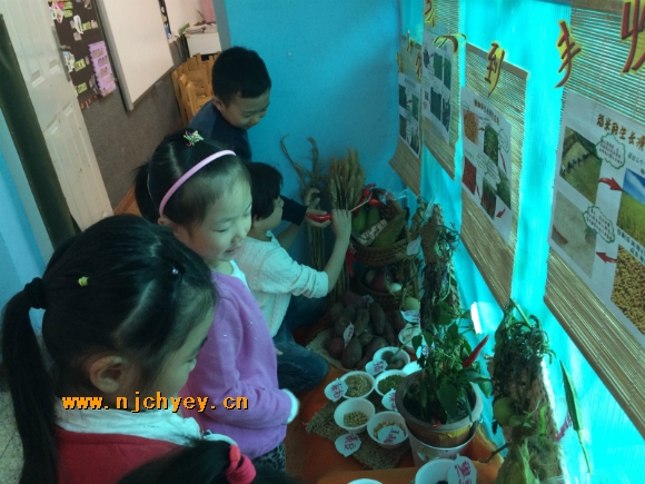 附件：IMG_4249_meitu_2.jpg