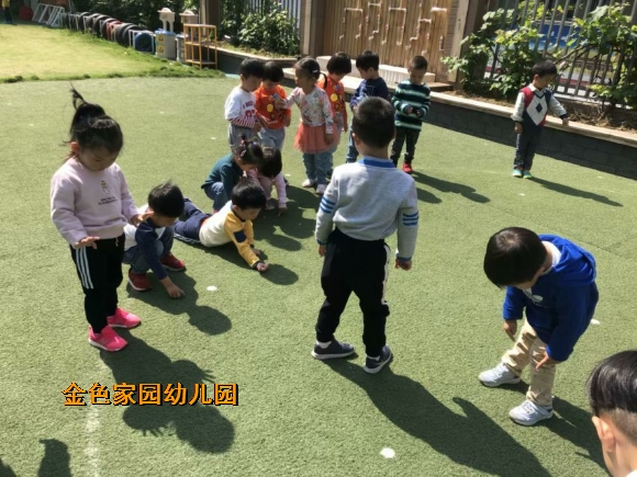 附件：IMG_8656.JPG
