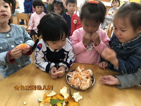 附件：IMG_3185.JPG