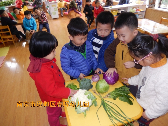 附件：DSCN4293.JPG
