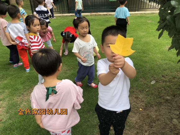 附件：IMG_6584.JPG