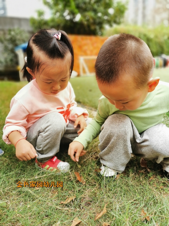 附件：IMG_20191010_102206.jpg