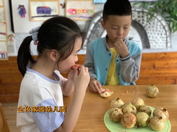 附件：1697605919251.jpg