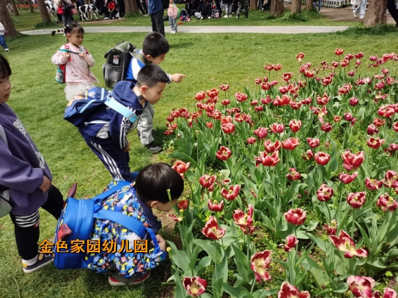附件:4022d354f5291c10e346c8f87a9ce29.jpg 附件:4022d354f5291c10e346c8f87a9ce29.jpg