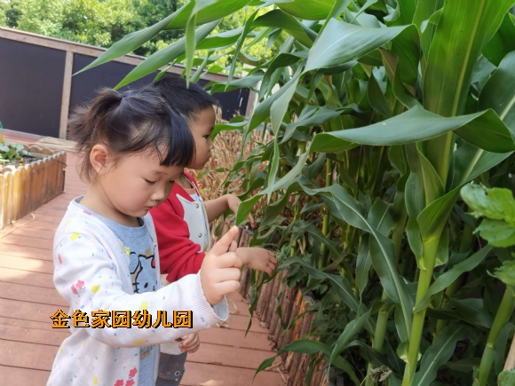 附件：zqdy8u71to1652860717763.jpg
