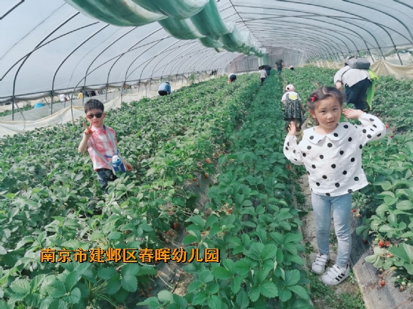 附件：QQ图片20190419100237.jpg