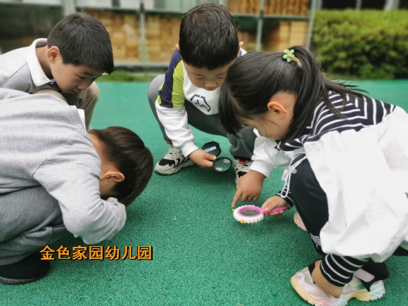 附件：IMG_20220511_114215.jpg