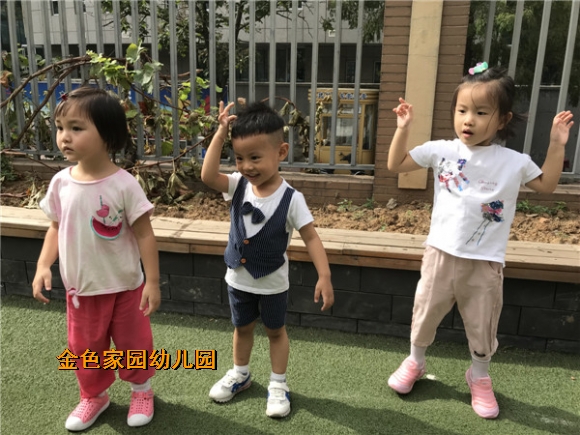 附件：IMG_1092_副本.jpg