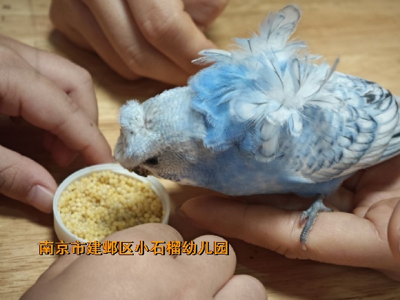 附件：QQ图片20230222164059.jpg
