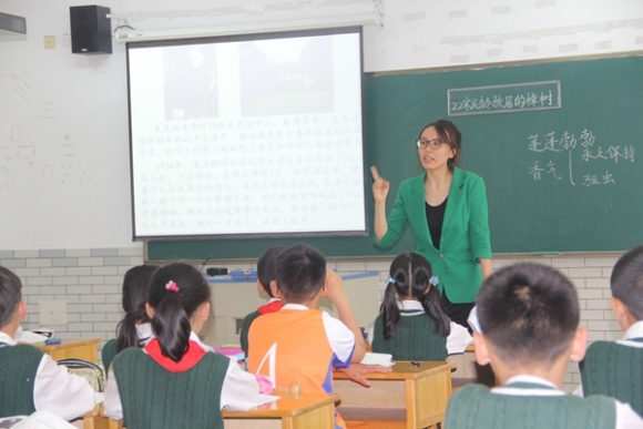 附件：IMG_4066.JPG