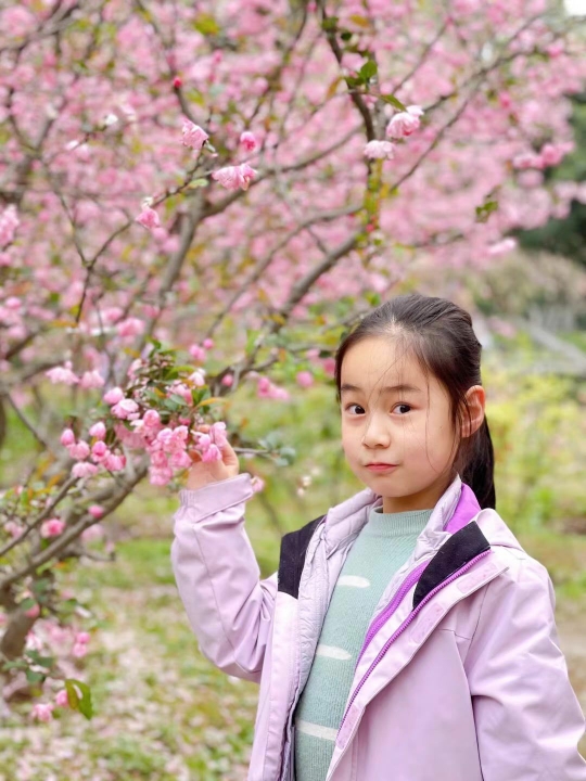 附件：22.png