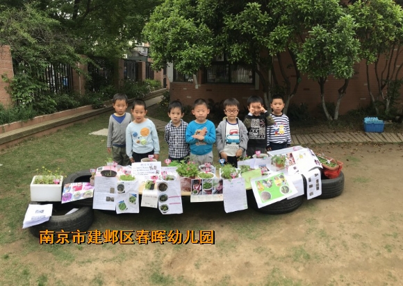 附件：conew_img_3738.jpg