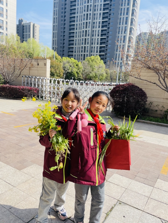 附件：IMG_7956.JPG