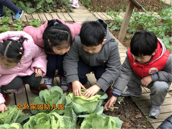 附件：IMG_1300.JPG