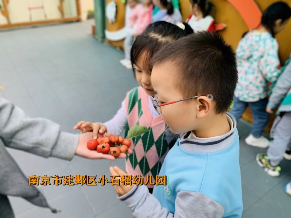 附件：3.jpg