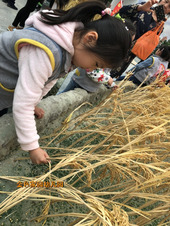 附件：IMG_0796.JPG