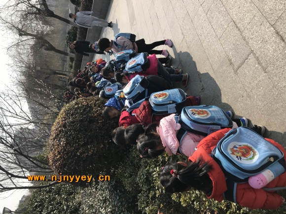 附件：IMG_3372.JPG