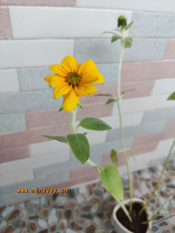 附件：IMG_8139(20220531-141755).JPG