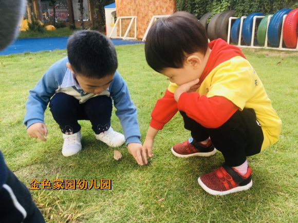 附件：IMG_E8516.JPG