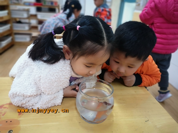 附件：IMG_20210326_101949.jpg